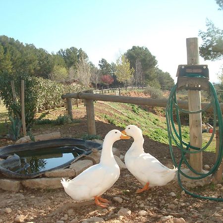 Comarquinal Bioresort Penedes San Quintín de Mediona Exteriér fotografie