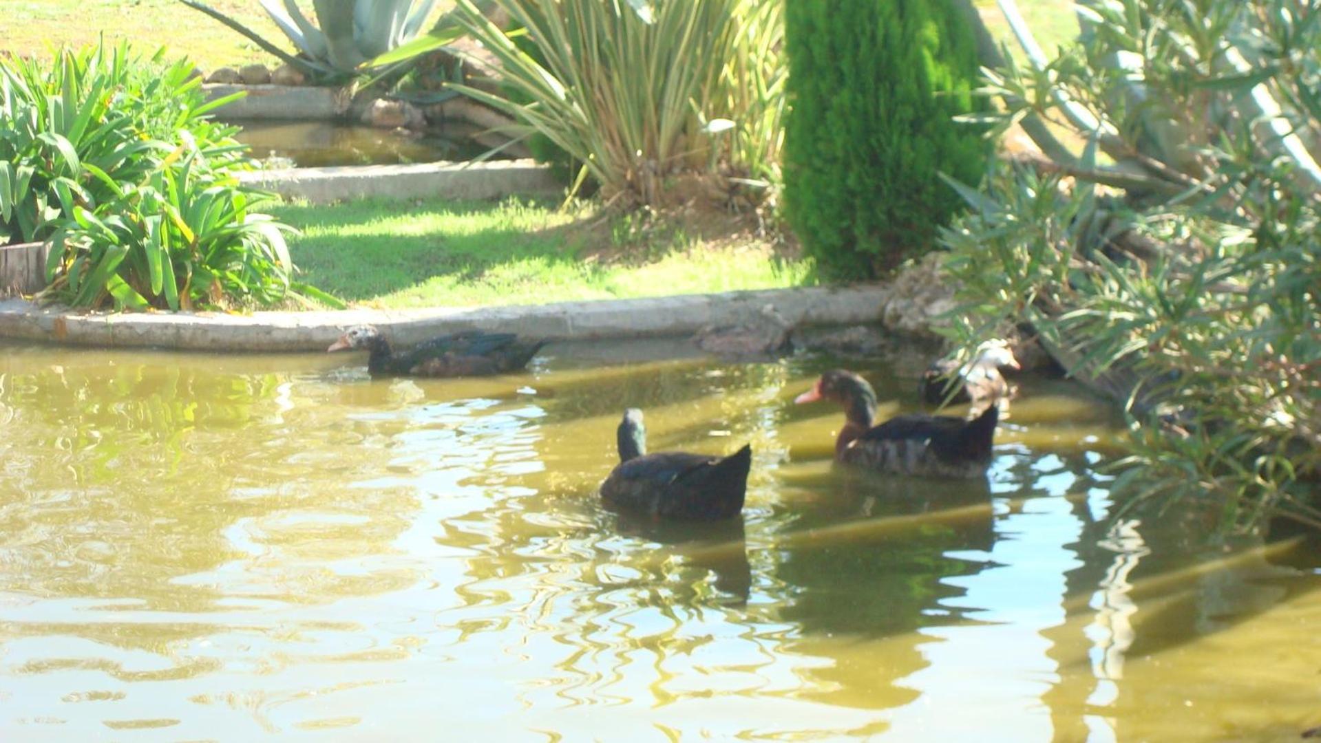 Comarquinal Bioresort Penedes San Quintín de Mediona Exteriér fotografie